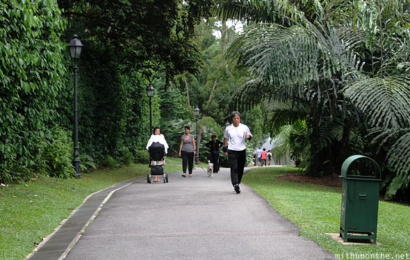 Singapore: Day 3 - Bukit Timah and Singapore Botanic Gardens