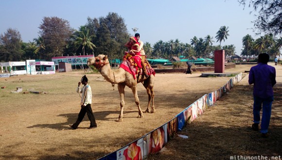 Camel ride Bekal beach Kerala