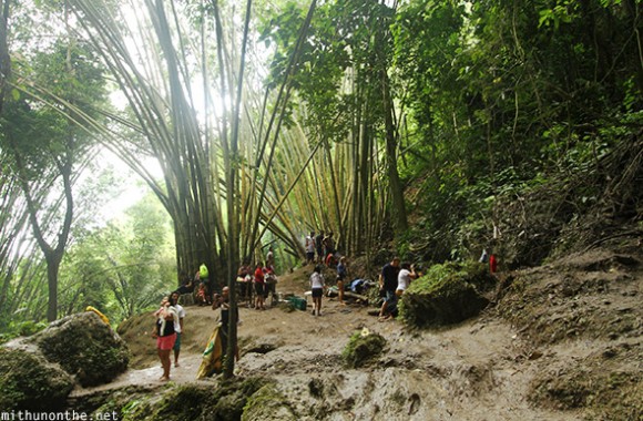 Tumalog falls bamboo trees Oslob