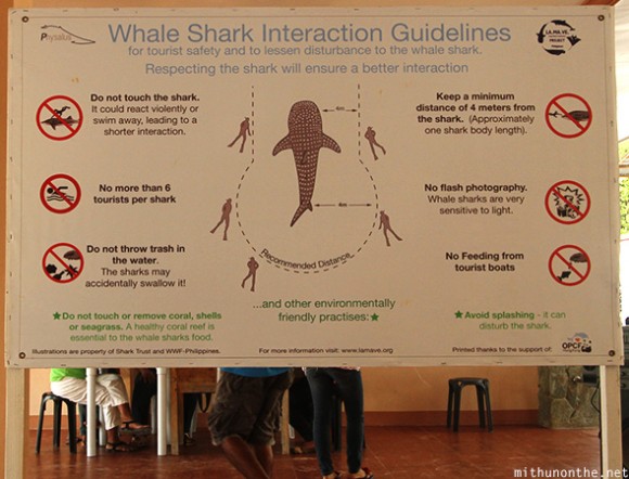 Whale shark instructions Oslob Cebu