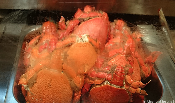 Curacha red crab Davao Philippines