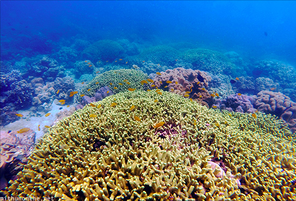 Blue under water Davao scuba dive Philippines