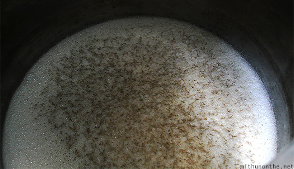 Fermentation yeast Amrut whisky making