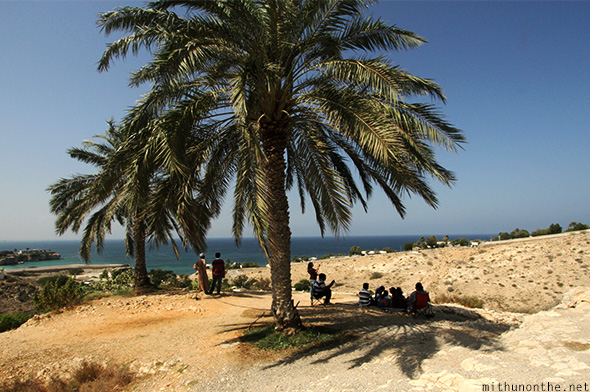Palm tree shade picnic Oman
