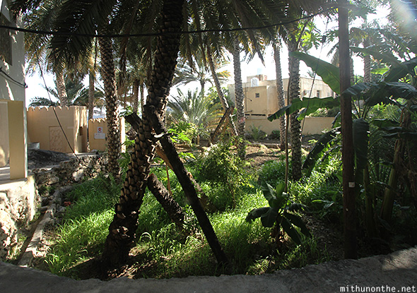 Misfah village palm garden Oman