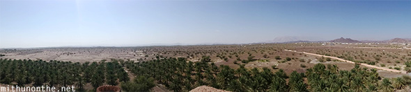 Palm tree farm Bahla Oman