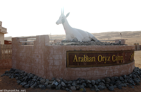 Arabian Oryx Camp Oman