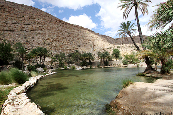 Oasis in Oman