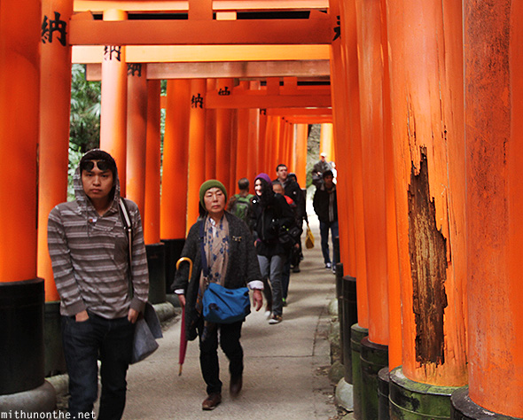 Fushimi Inari broken torii Kyoto