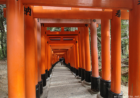 Fushimi Inari downhill Kyoto Japan