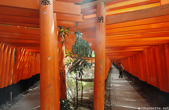 Fushimi inari small torii Kyoto Japan