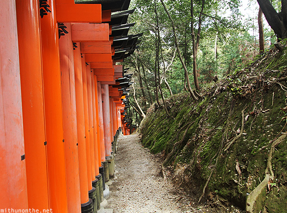 Fushimi Inari torii side Kyoto Japan