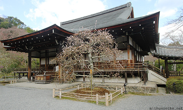 Tenryuji temple Arashiyama Kyoto
