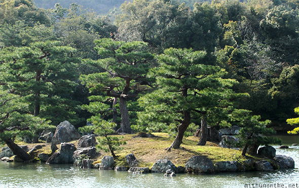 Trees Kinakuji lake Kyoto Japan