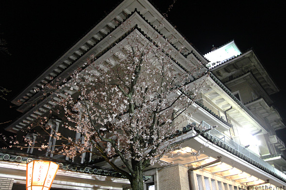 White sakura at night Gion Kyoto