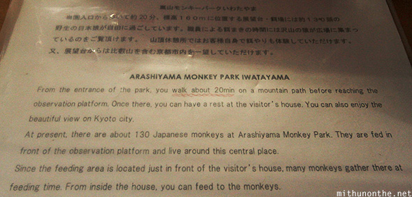 Arashiyama Monkey Park info
