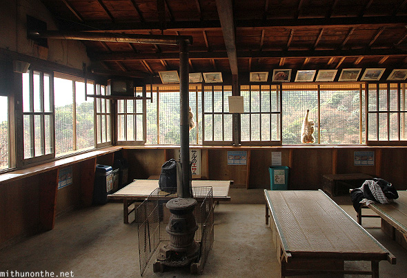 Inside room Monkey Park Arashiyama
