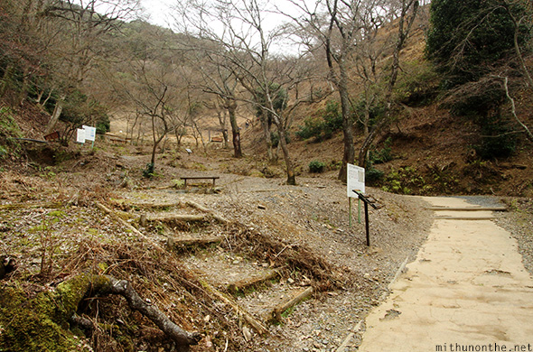 Monkey Park Arashiyama hill Kyoto