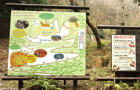 Monkey Park map Arashiyama hill