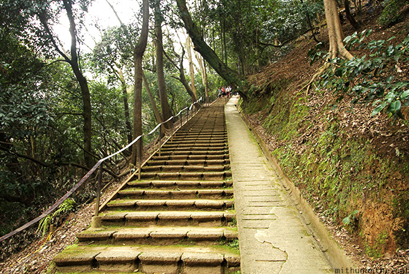 Monkey Park steps hill Kyoto