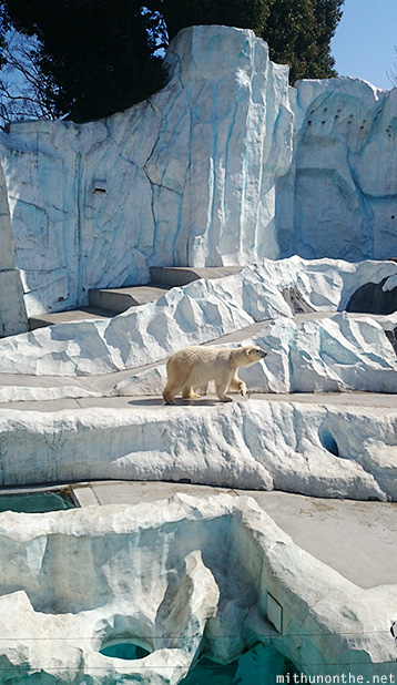 Polar bear zone Ueno Zoo Tokyo