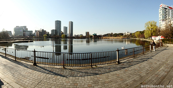 Shinobazu pond Tokyo Japan