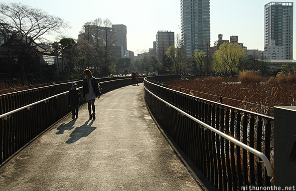 Shinobazu pond walkway Tokyo