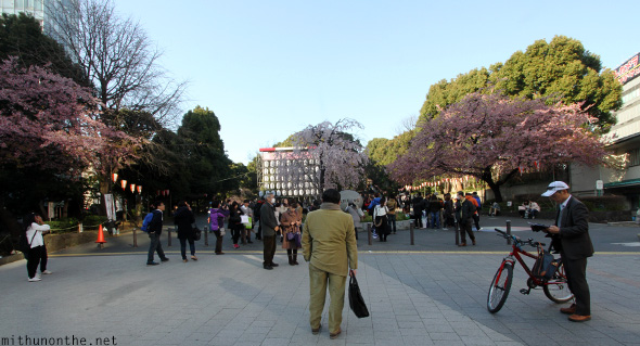 Ueno park entrance Sakura Japan