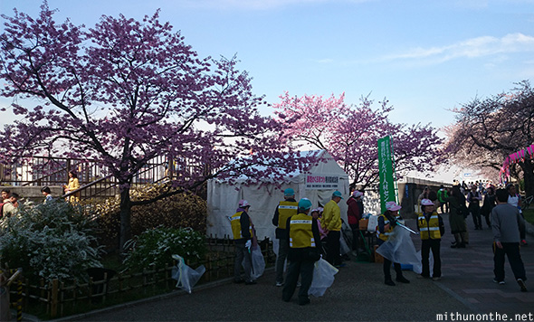 Cleaners Sumida-gawa sakura festival