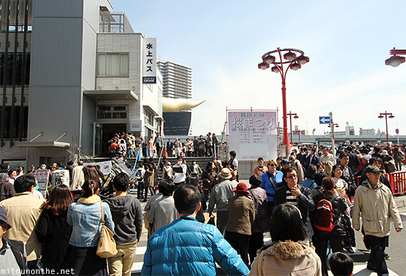 Crowds Sumida river Tokyo-japan