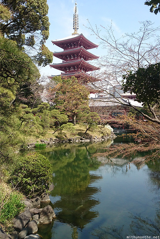 Five storey pagoda Denboin garden
