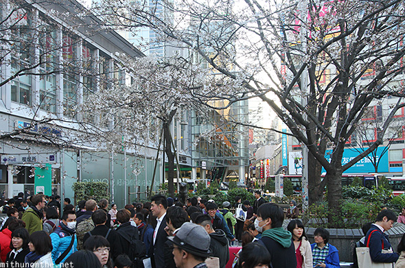 Hachiko statue crowds Shibuya Tokyo