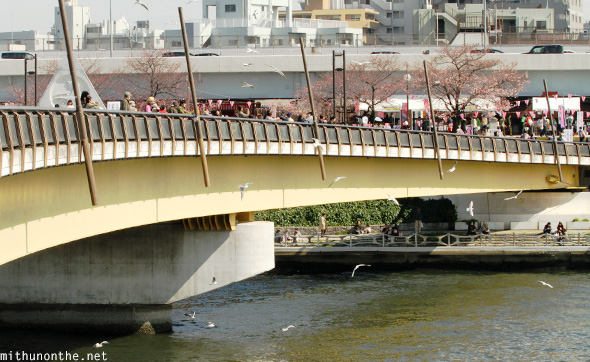 Sakura bashi bridge Sumida river