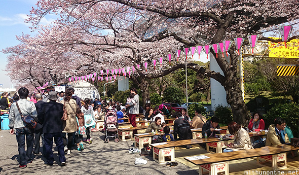 Sakura festivities Sumida gawa Tokyo Japan