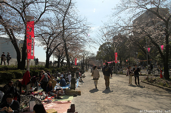 Sakura picnic Sumida river park Tokyo