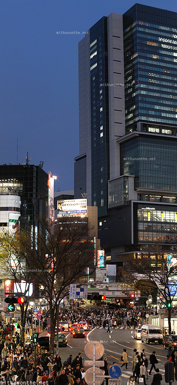Shibuya crossing vertical panorama Tokyo