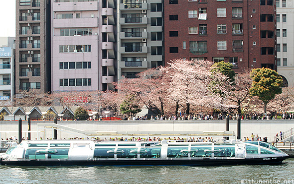 Sumida river tour boat Tokyo
