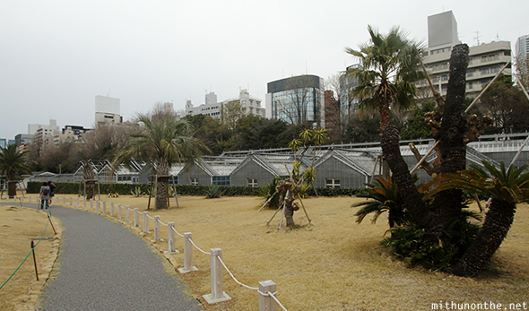 Greenhouses Shinjuku Gyoen Tokyo