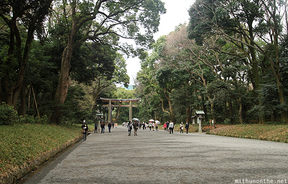 Meiji shrine forest road Japan