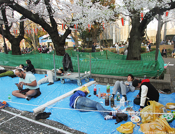 Drunk Japanese picnic sakura Ueno park