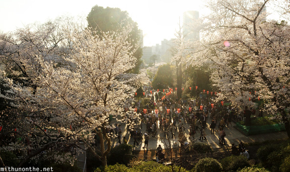 Ueno park in the evening