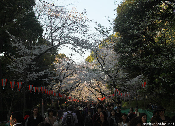 Ueno park pathway Japan
