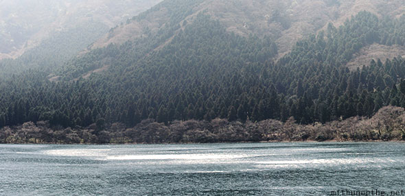 Lake Ashi trees Hakone hills
