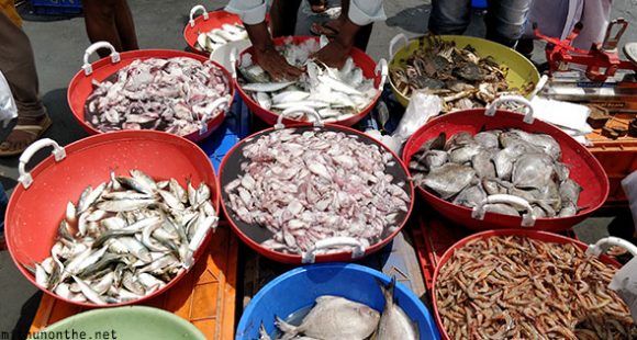 Ayikkara fish market crab squid Kannur