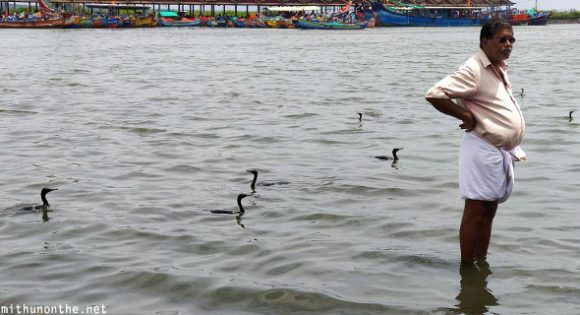 Birds in water Kerala