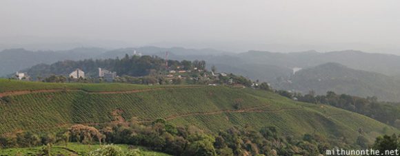 Munnar tea plantation hill Kerala