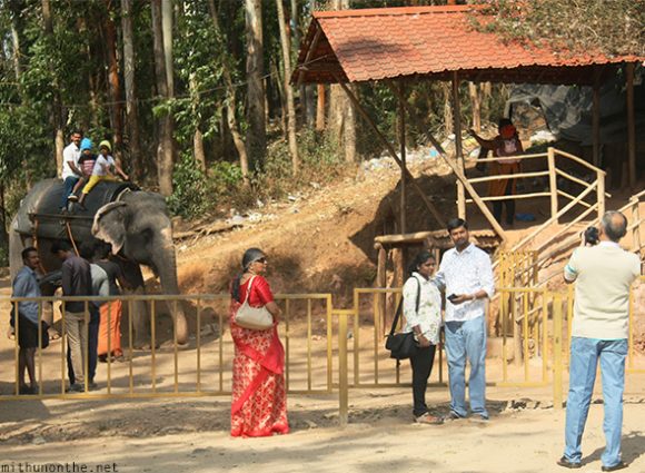 Carmelagiri Elephant park Munnar