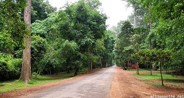 Angkor park road Cambodia