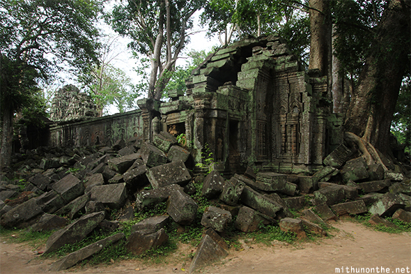 Ta Prohm ruins Angkor Cambodia