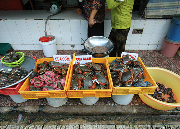 Crab turtles Ben Thanh market-vietnam